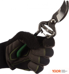 Росток 423005 (376936)