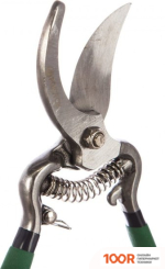 Росток 423005 (376936)