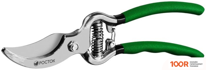 Росток 423005 (376936)