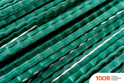 РОС ПЛАСТИКОВАЯ №1 68073 (376909)