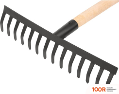 Курс 76962 (376809)