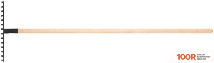 Курс 76962 (376809)