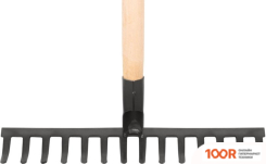 Курс 76962 (376809)