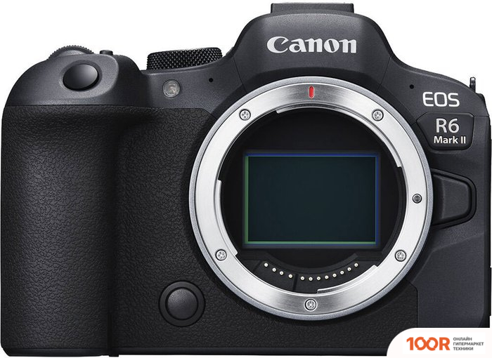 Барс 21654 (376706)