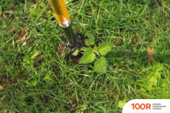 Tornadica TOR-32SOR (ИНДИВИД. УПАКОВКА) (376414)