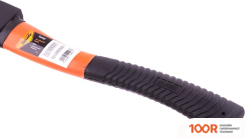 Sparta 21637 (376311)