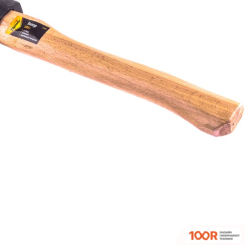 Sparta 21610 (376309)