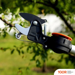 Plantic P312 (376088)