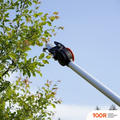 Plantic P312 (376088)