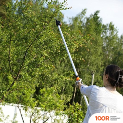 Plantic P312 (376088)