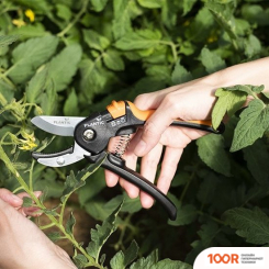 Plantic P311 35311-01 (376087)