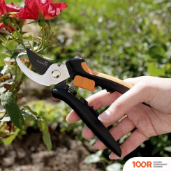 Plantic P204 25204-01 (376076)