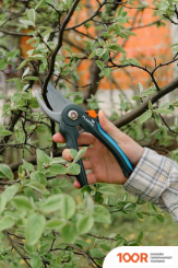 Plantic LIGHT L63 25263-01 (376054)