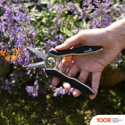 Plantic 35306-01 (376031)