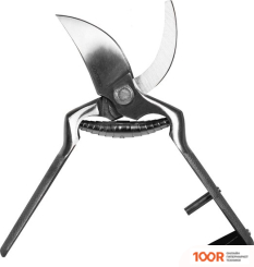 Obrigado ПЛОСКОСТНОЙ 2458 (375977)