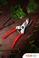 Obrigado 2467 (375976)