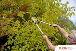 Kreator KRTGR4021 (375935)