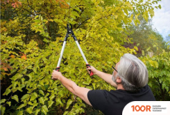 Kreator KRTGR4011 (375932)