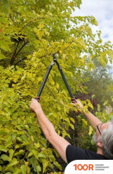 Kreator KRTGR4001 (375930)