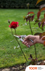 Kreator KRTGR1023 (375928)