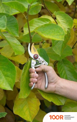 Kreator KRTGR1021 (375926)