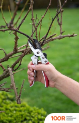 Kreator KRTGR1012 (375925)