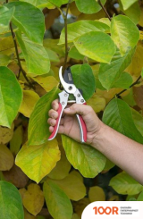 Kreator KRTGR1011 (375924)