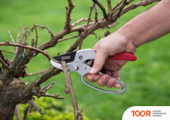 Kreator KRTGR1004 (375923)