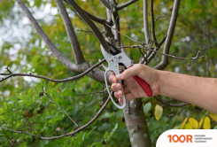 Kreator KRTGR1004 (375923)