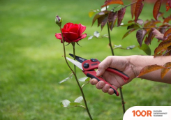 Kreator KRTGR1003 (375922)