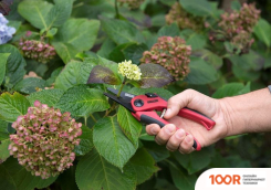 Kreator KRTGR1003 (375922)