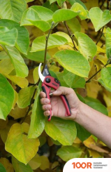 Kreator KRTGR1001 (375920)