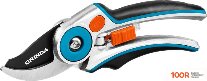 Grinda PRO LINE P-29 423429 (375864)