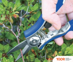 Green Apple GAYW06-078 (375739)