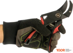 Frut CLUB 402310 (375710)