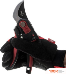 Frut CLUB 402309 (375709)