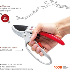 Frut CLUB 402218 (375708)