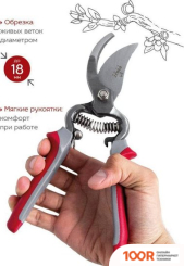 Frut CLUB 402217 (375707)