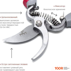 Frut CLUB 402217 (375707)