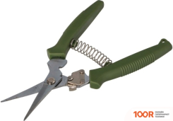 Forester 5900 (375669)