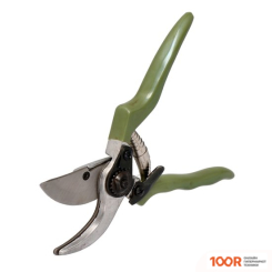 Forester 5858 (375664)