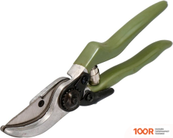 Forester 5858 (375664)