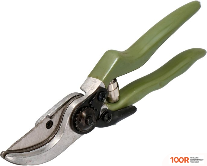 Forester 5858 (375664)