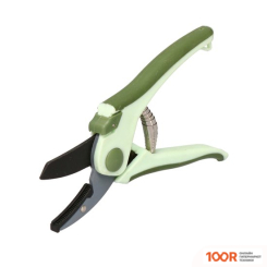 Forester 5852 (375662)