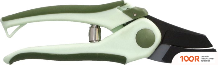 Forester 5852 (375662)