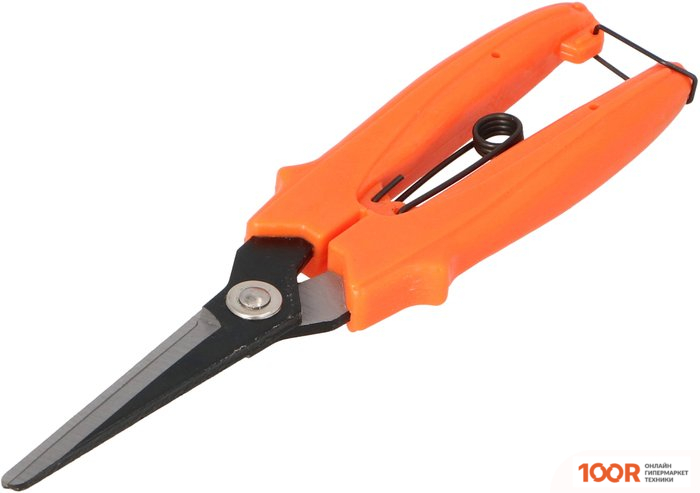 Forester 4601 (375659)