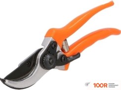 Forester 4598 (375657)