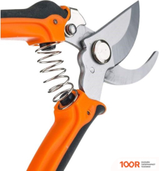 Beckford 07014220 (375296)