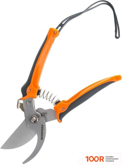 Beckford 07014220 (375296)