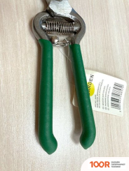 Angarden 59280 (375293)